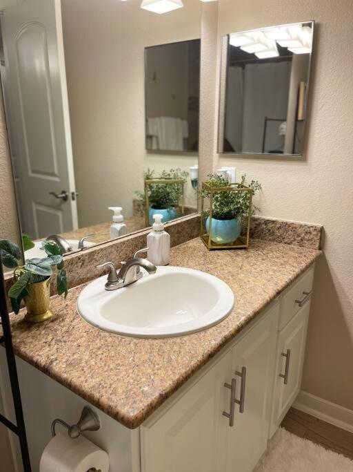 Beautiful/Spacious 2 Bedroom Houston Near Galleria Экстерьер фото